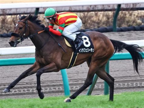 【紫苑s】半兄はgi・3勝のエフフォーリア イゾラフェリーチェが重賞初制覇狙う 競馬ニュース Netkeiba