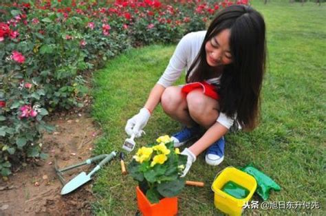 通用型花卉肥料怎麼使用？ 每日頭條