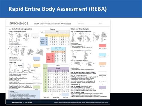 Reba Rapid Entire Body Assessment