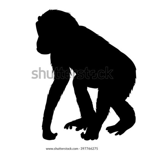 Vector Silhouette Chimpanzee Stock Vector Royalty Free 397766275