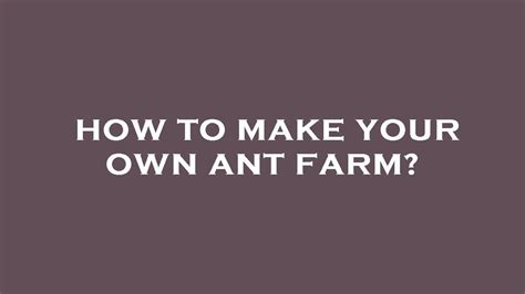 How To Make Your Own Ant Farm Youtube