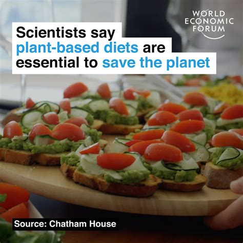 Scientists Say Plant Based Diets Are Essential To Save The Planet