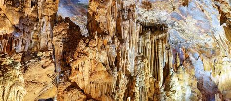 Phong Nha Builds The Longest Zipline In The World Origin Vietnam