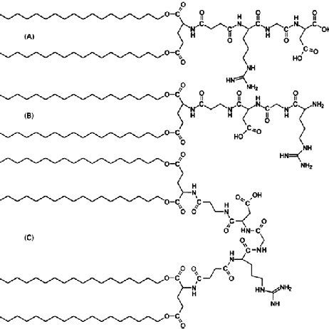 Chemical structure of three bacterially derived lipopeptides. (A ...