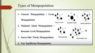 Metapopulation | PPT