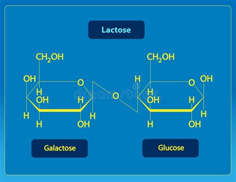 Lactose Stock Illustration - Image: 52510569