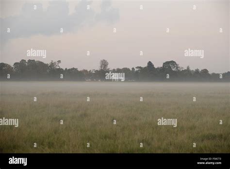 Misty Dusk At Phoenix Park Stock Photo Alamy