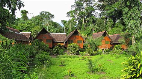 Sandoval Lake in Tambopata National Reserve | Blog Machu Travel Peru