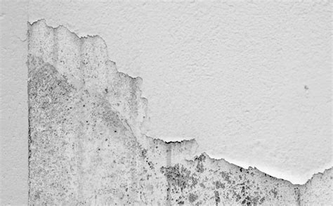 A Guide To Moisture Percentage For Drywall All Dry USA