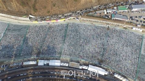 화천산천어축제 올해도 대박관광객 154만명 유치 투어코리아 No1 여행·축제 뉴스