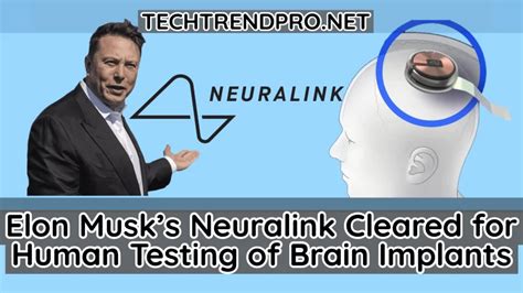 Elon Musk S Neuralink Cleared For Human Testing Of Brain Implants