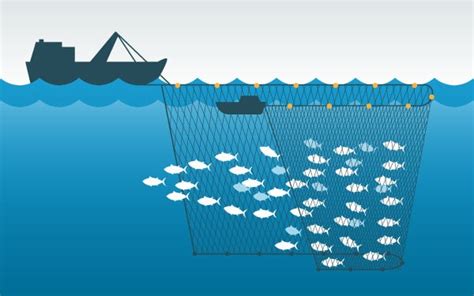 Fishing methods - NGO Best for tuna