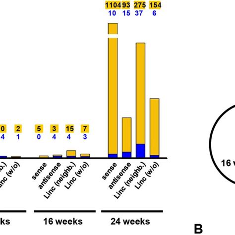 Expression Of Lncrnas In Btbr Ob Ob Mice Compared To Age Matched Wt