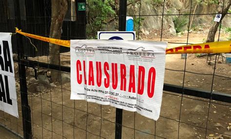 Por Uso De Explosivos Profepa Clausura Construcci N De Hidroel Ctrica