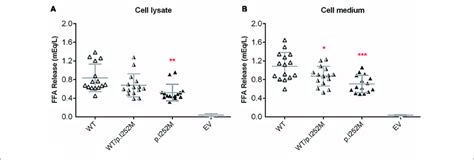 Post Heparin Lpl Activity In Transfected Her T Cell Lysates A And