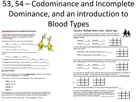 Codominance Worksheet Blood Types Answers