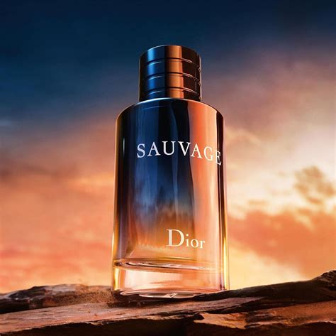 Buy Dior Sauvage Cologne For Men Eau De Toilette 2oz Nuoyingda Online