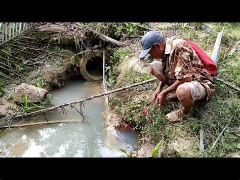 MANCING LELE LEMBAT DI BAWAH JEMBATAN ANGKER YANG DI HUNI BANYAK IKAN