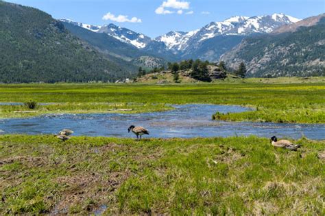 4 700 Estes Park Photos Photos Taleaux Et Images Libre De Droits Istock