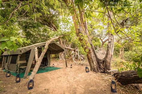 A New Look For Xobega Island Camp Okavango Delta