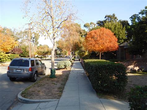 Fall Colors Claremont Tom Fasano Flickr