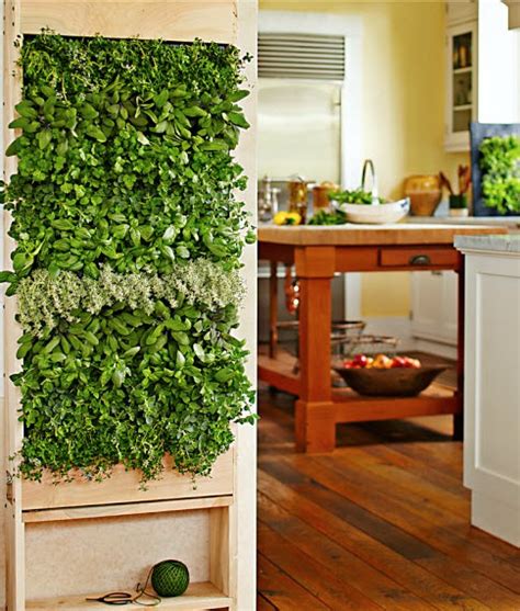 Indoor Garden and Herb Solutions | Canadian Off The Grid