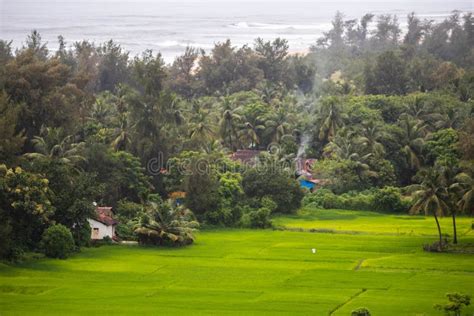 Indian Agricultural Land Farming in Indian Village Side Stock Photo ...