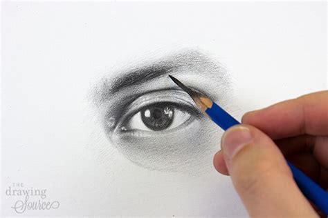 How to Draw Eyebrows: Step by Step Realistic Drawing Tutorial