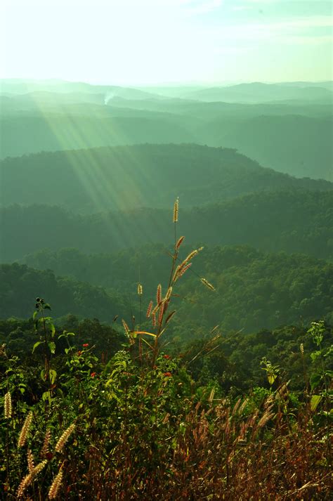 Dandeli Dandeli Dashaharakali River Ganeshgudi Anshi National Park