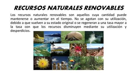 Recursos Naturales Del Ecuador