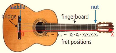 Overview Of The Guitar Types National Guitar Academy