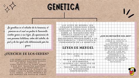 Organizador Grafico De La Genetica Como Tomar Apuntes Dibujos De