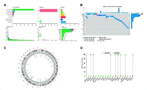 Landscape Of Genetic Variation Of Crgs In Hcc A B The Mutation Of