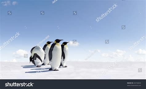 Emperor Penguins Antarctica Stock Photo 26736844 | Shutterstock