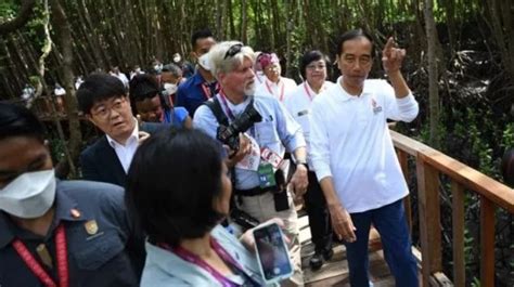 Presiden Jokowi Awali Hari Kedua KTT G20 Dengan Tanam Mangrove Video