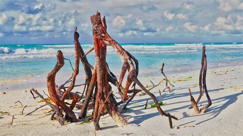 Mare a Varadero guida a una delle spiagge più belle del mondo