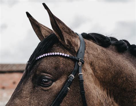 Horse Photography on Behance