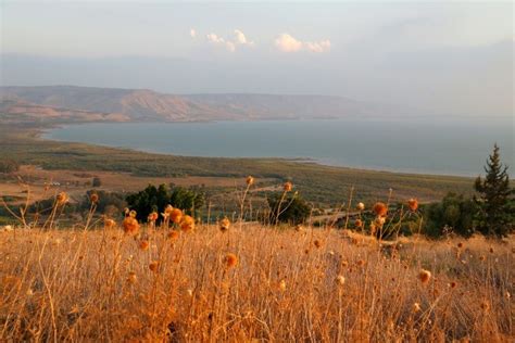 Israël Découverte D anciennes Mosaïques Au Bord Du Lac De Tibériade