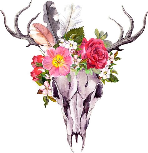 Boho Skull With Feathers And Flowers Sticker For Sale By Joellis