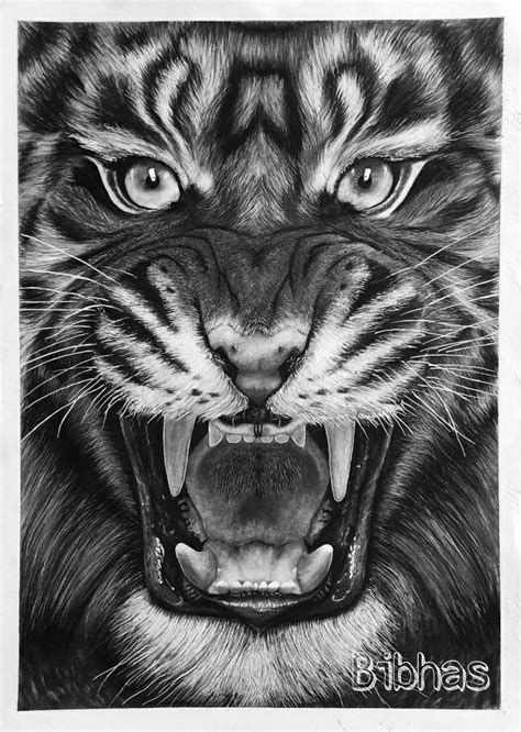 Paper Realistic Drawing, Size: A3, Rs 3000 /unit Color Magic | ID ...