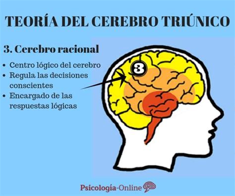 Un A Adido Al Cerebro Enriquerubio Net