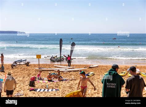 Learn to surf surfing lessons Palm Beach,Sydney,NSW,Australia Stock ...