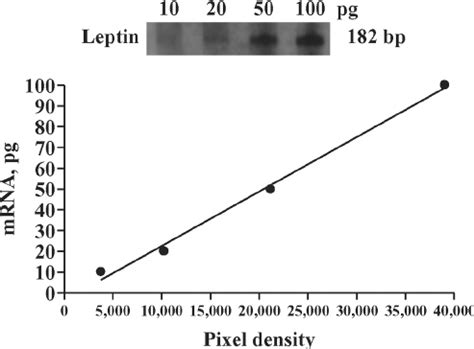 Example Of A Standard Concentration Curve Constructed Using Known