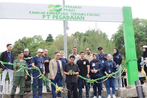 Pt Pegadaian Kanwil Medan Revitalisasi Dan Transplantasi Terumbu