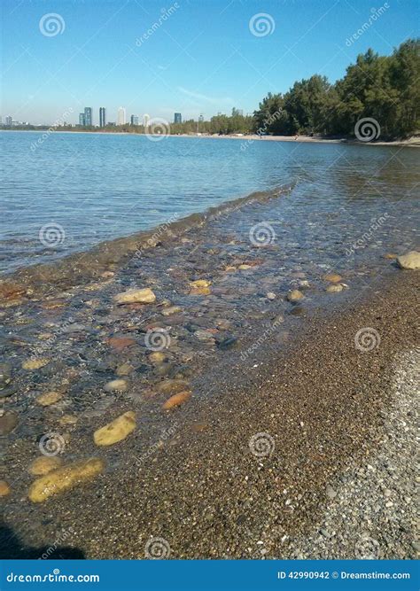 Toronto island ferry lines are longer than ever this summer 7