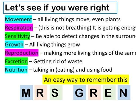 Life Processes Worksheet Here Is A Life Processes Worksheet, 58% OFF