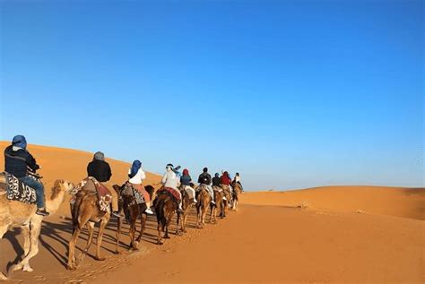 Best Sunset Camel Ride In Merzouga Desert Erg Chebbi