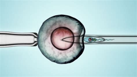 A Detailed Guide IMSI IVF Procedure Benefits ONP Hospitals