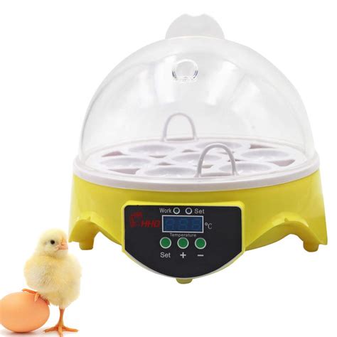 Buy M Z A Egg Incubator Mini Eggs Incubator Fully Automatic Digital