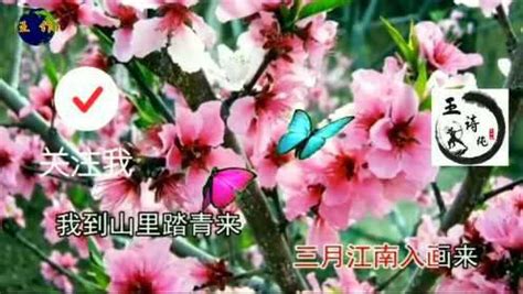 歌曲《你像三月桃花开》 腾讯视频